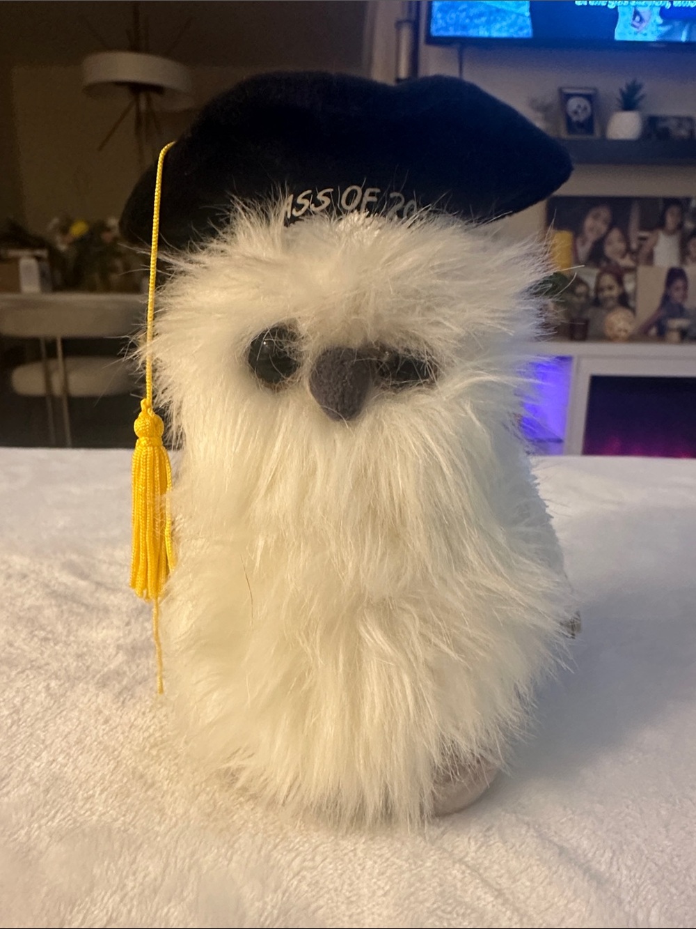 Ty White Plush Graduation Owl with Black Cap and Yellow Tassel beanie collection